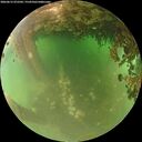 ./images/calvert/underwater/20260615/underwater20260615_072501M.jpg