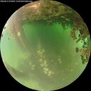 ./images/calvert/underwater/20260615/underwater20260615_073001M.jpg