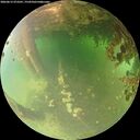./images/calvert/underwater/20260615/underwater20260615_073501M.jpg