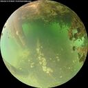./images/calvert/underwater/20260615/underwater20260615_074001M.jpg