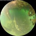 ./images/calvert/underwater/20260615/underwater20260615_074502M.jpg