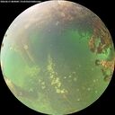 ./images/calvert/underwater/20260615/underwater20260615_084001M.jpg