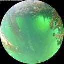 ./images/calvert/underwater/20260615/underwater20260615_105501M.jpg