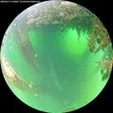 ./images/calvert/underwater/20260615/underwater20260615_110002M.jpg