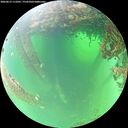 ./images/calvert/underwater/20260615/underwater20260615_111001M.jpg