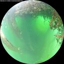 ./images/calvert/underwater/20260615/underwater20260615_112001M.jpg
