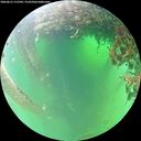 ./images/calvert/underwater/20260615/underwater20260615_112502M.jpg