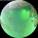 ./images/calvert/underwater/20260615/underwater20260615_113001M.jpg