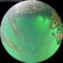 ./images/calvert/underwater/20260615/underwater20260615_113501M.jpg