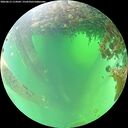 ./images/calvert/underwater/20260615/underwater20260615_114502M.jpg