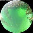 ./images/calvert/underwater/20260615/underwater20260615_115001M.jpg