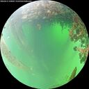 ./images/calvert/underwater/20260615/underwater20260615_120002M.jpg