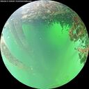 ./images/calvert/underwater/20260615/underwater20260615_120501M.jpg