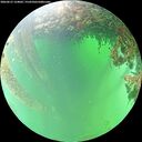 ./images/calvert/underwater/20260615/underwater20260615_124002M.jpg