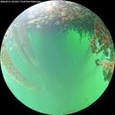 ./images/calvert/underwater/20260615/underwater20260615_125501M.jpg