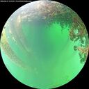 ./images/calvert/underwater/20260615/underwater20260615_131501M.jpg
