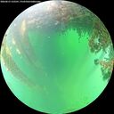 ./images/calvert/underwater/20260615/underwater20260615_132501M.jpg