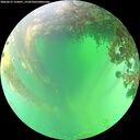 ./images/calvert/underwater/20260615/underwater20260615_135001M.jpg