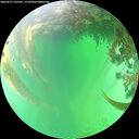 ./images/calvert/underwater/20260615/underwater20260615_135501M.jpg
