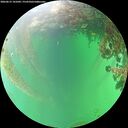 ./images/calvert/underwater/20260615/underwater20260615_141001M.jpg
