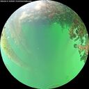 ./images/calvert/underwater/20260615/underwater20260615_143002M.jpg