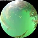 ./images/calvert/underwater/20260615/underwater20260615_145002M.jpg