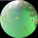 ./images/calvert/underwater/20260615/underwater20260615_151001M.jpg