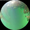 ./images/calvert/underwater/20260615/underwater20260615_151501M.jpg