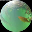 ./images/calvert/underwater/20260615/underwater20260615_164501M.jpg