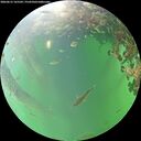 ./images/calvert/underwater/20260615/underwater20260615_165502M.jpg