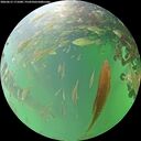 ./images/calvert/underwater/20260615/underwater20260615_171001M.jpg