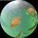./images/calvert/underwater/20260615/underwater20260615_173001M.jpg