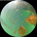 ./images/calvert/underwater/20260615/underwater20260615_174002M.jpg