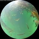 ./images/calvert/underwater/20260615/underwater20260615_174501M.jpg
