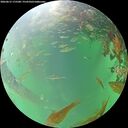 ./images/calvert/underwater/20260615/underwater20260615_175501M.jpg