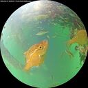 ./images/calvert/underwater/20260615/underwater20260615_180501M.jpg