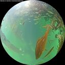 ./images/calvert/underwater/20260615/underwater20260615_182501M.jpg