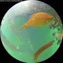 ./images/calvert/underwater/20260615/underwater20260615_192501M.jpg