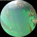 ./images/calvert/underwater/20260615/underwater20260615_195001M.jpg