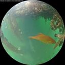 ./images/calvert/underwater/20260615/underwater20260615_203501M.jpg