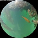 ./images/calvert/underwater/20260615/underwater20260615_205501M.jpg