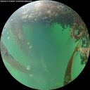 ./images/calvert/underwater/20260615/underwater20260615_210002M.jpg