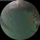 ./images/calvert/underwater/20260615/underwater20260615_220002M.jpg
