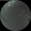 ./images/calvert/underwater/20260615/underwater20260615_222501M.jpg