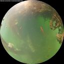 ./images/calvert/underwater/20260616/underwater20260616_063501M.jpg