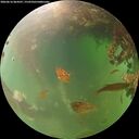 ./images/calvert/underwater/20260616/underwater20260616_064501M.jpg