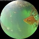 ./images/calvert/underwater/20260616/underwater20260616_112501M.jpg