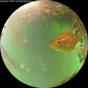 ./images/calvert/underwater/20260616/underwater20260616_114502M.jpg