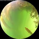 ./images/calvert/underwater/20260616/underwater20260616_141001M.jpg
