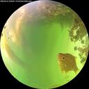 ./images/calvert/underwater/20260616/underwater20260616_142001M.jpg
